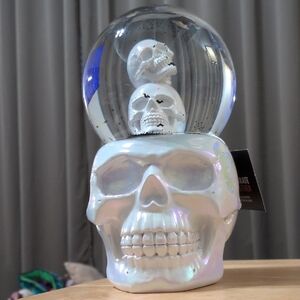 NWT Iridescent Skull Snow Globe